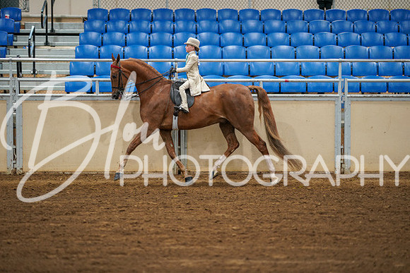 Aurora Show June 8, 2024  - 01564
