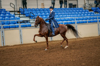 91 - All Breed English Pleasure, Limit Rider