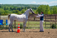Aurora Show June 6, 2024  - 01482