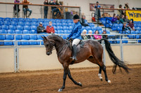 Aurora Show June 8, 2024  - 03371