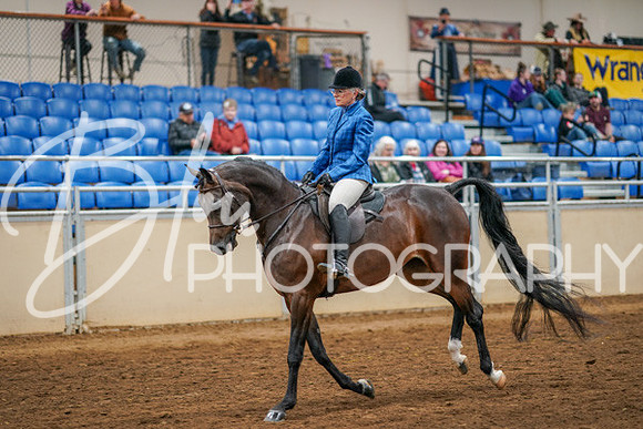 Aurora Show June 8, 2024  - 03371