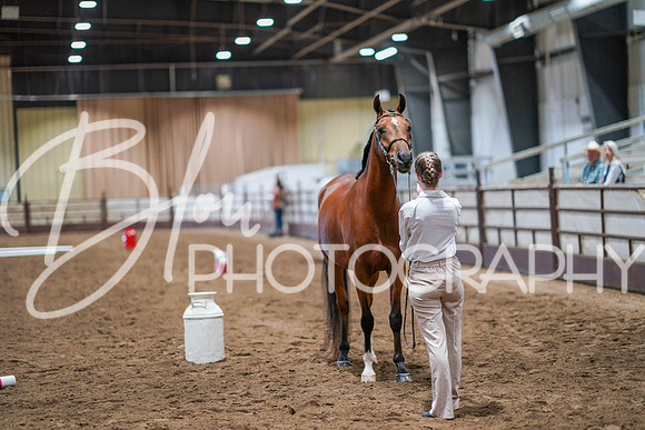 Region 17 July 9, 2025 - 0266