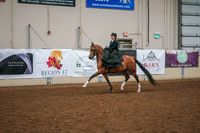 180 - ARABIAN Ladies Side Saddle Western/English Open