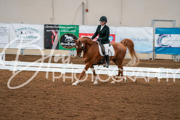 Aurora Show June 6, 2024  - 01028