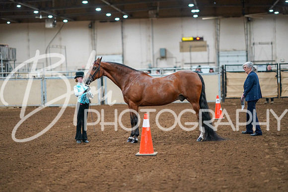 Aurora Show June 8, 2024  - 00380