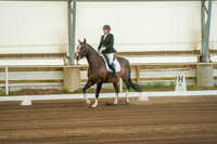 231 Region 17 A/HA/AA Dressage Second Level AOTR Championship
