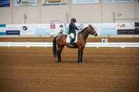 Aurora June 5, 2025 - 0014