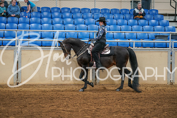 Aurora Show June 7, 2024  - 05453