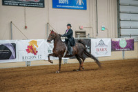 234 5 Gaited Stake Open