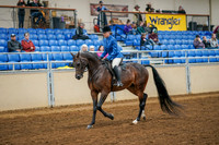 Aurora Show June 8, 2024  - 03353