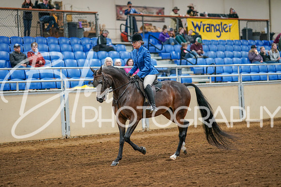 Aurora Show June 8, 2024  - 03353