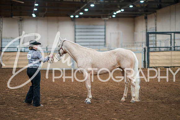 Aurora Show June 8, 2024  - 00428
