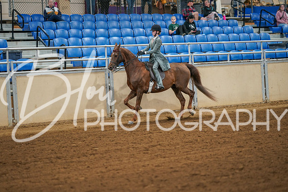 Aurora Show June 7, 2024  - 02595