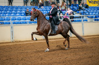 Aurora Show June 8, 2024  - 02807