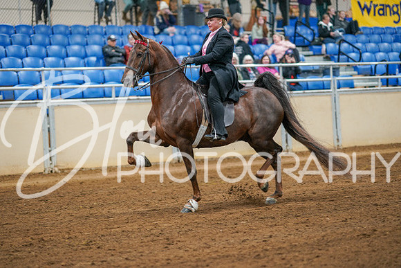 Aurora Show June 8, 2024  - 02807
