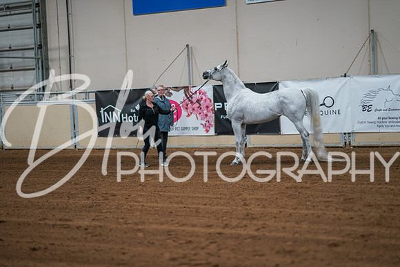 Aurora Show June 8, 2024  - 00078