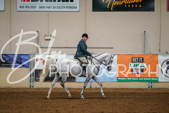 Aurora Show June 8, 2024  - 03391