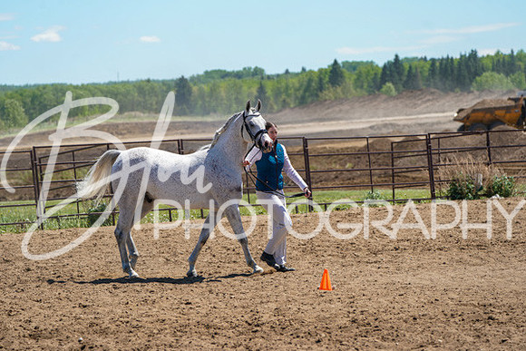 Aurora Show June 6, 2024  - 01508