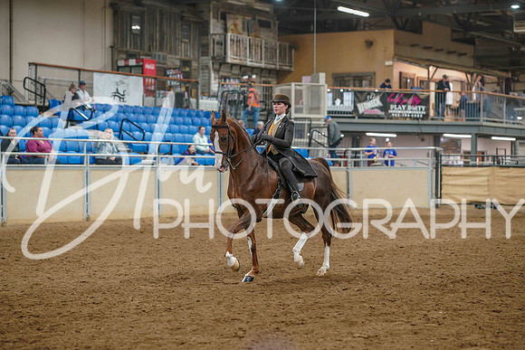 Aurora June 7, 2025 - 3463