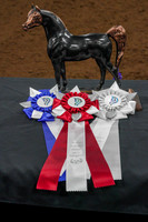 000 - Candids opening ceremonies and celebration night