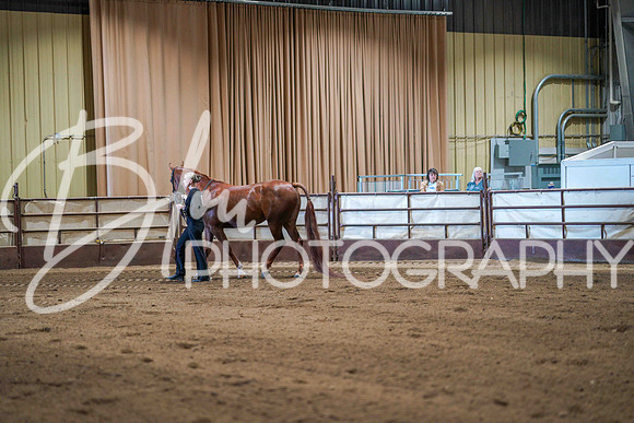 Region 17 July 12, 2025 - 1884