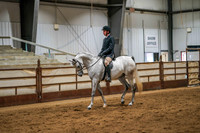 242 Region 17 Arabian Sport Horse Under Saddle Jr Horse Championship