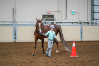 24 ALL BREEDS SHOWMANSHIP, 17 & UNDER