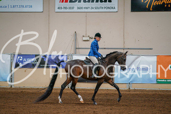 Aurora Show June 8, 2024  - 03383
