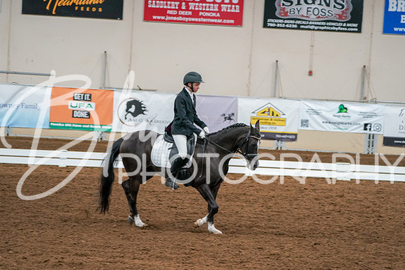 Aurora Show June 6, 2024  - 01122