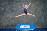 Airdrie Edge Gymnastics Feb 2, 2025 - 0124
