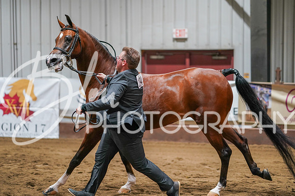 Region 17 June 28, 2024 - 05166