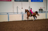 15 ALL BREED WALK-TROT ENGLISH PLEASURE (HUNT OR SADDLESEAT), 11 YEARS & UNDER