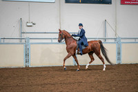 30 ALL BREED SADDLE SEAT EQUITATION 14-17 YRS