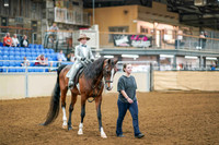 36 ALL BREED WALK-TROT/JOG PLEASURE ANY DISCIPLINE - ASSISTED, 11 YEARS & UNDER