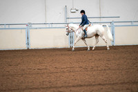 37 ALL BREED HUNTER PLEASURE LIMIT HORSE