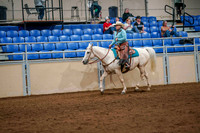 46 ALL BREED RANCH RAIL PLEASURE, AMATEUR