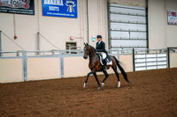 48A ALL BREED SHOW HACK LADIES