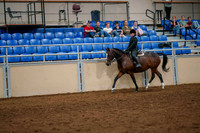 49 ALL BREED HUNTER PLEASURE, MAIDEN RIDER
