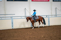 52 ALL BREED WESTERN PLEASURE MARES