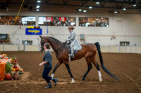 53 ALL BREED WALK-TROT/JOG PLEASURE ANY DISCIPLINE - ASSISTED, ANY AGE