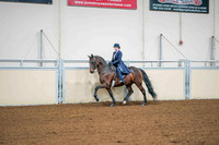 58 ACADEMY 17 & UNDER WALK, TROT/JOG & CANTER PLEASURE