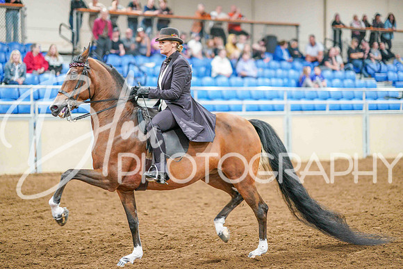 FCHS Sept 20, 2025 - 4767