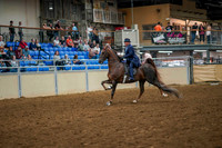 66ASB 5-GAITED OPEN STAKE
