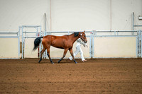 67 ALL BREED SHOWMANSHIP, 17 & UNDER