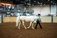 67A ALL BREED ADULT SHOWMANSHIP