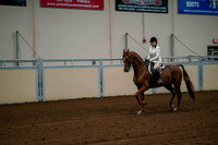 68 ASB HUNTER COUNTRY PLEASURE STAKE