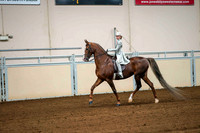 71 ALL BREED ENGLISH PLEASURE, LIMIT RIDER