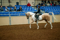 72 ALL BREED WALK-TROT/JOG PLEASURE ANY DISCIPLINE, 11 YEARS & UNDER