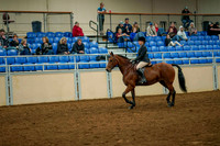 74 ALL BREED HUNTER PLEASURE, SR RIDER
