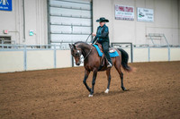 81 ALL BREED WESTERN PLEASURE JR OR AMATEUR RIDER